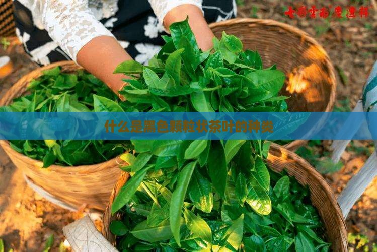 什么是黑色颗粒状茶叶的种类