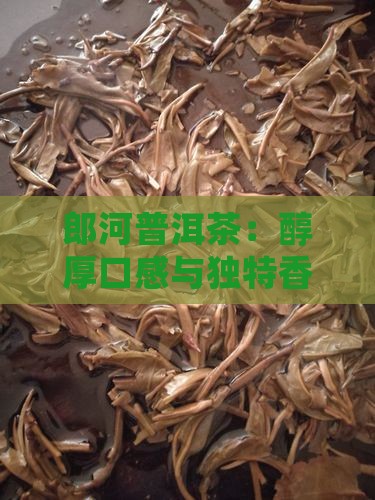 郎河普洱茶：醇厚口感与独特香韵的深度解析