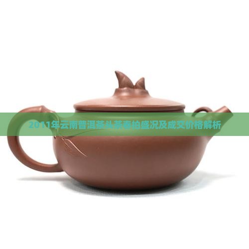 2011年云南普洱茶头茶春拍盛况及成交价格解析