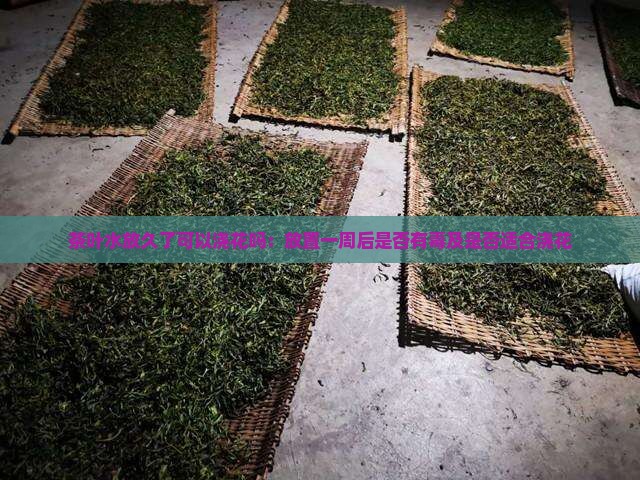 茶叶水放久了可以浇花吗：放置一周后是否有毒及是否适合浇花
