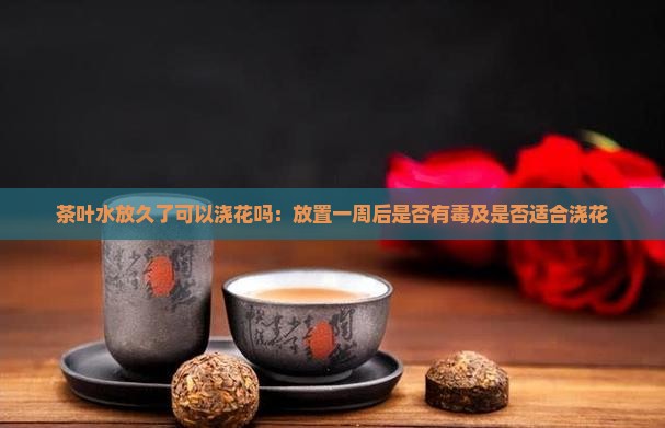 茶叶水放久了可以浇花吗：放置一周后是否有毒及是否适合浇花