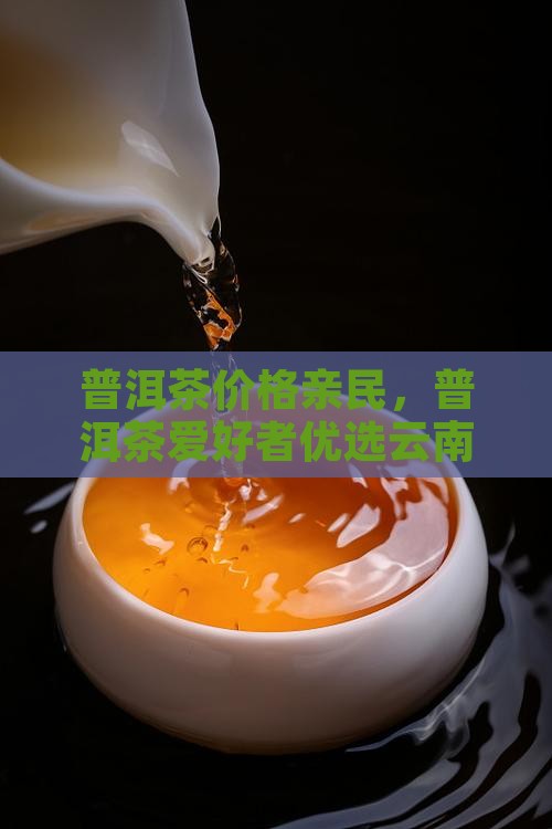 普洱茶价格亲民，普洱茶爱好者优选云南好茶