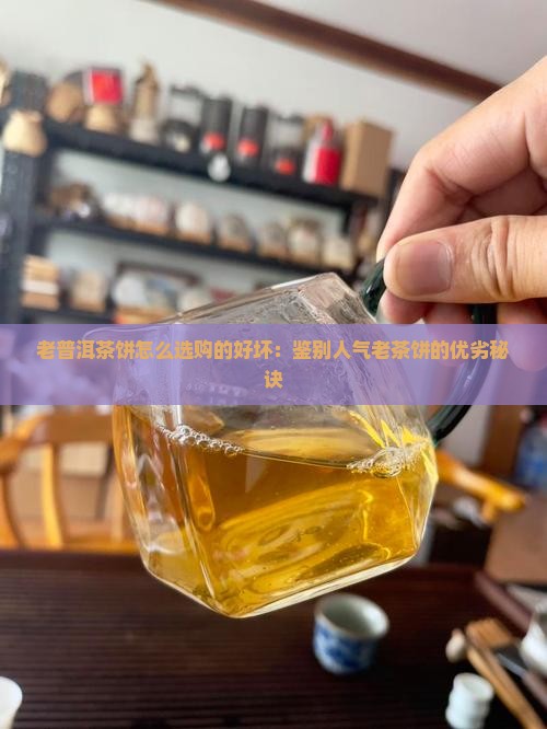 老普洱茶饼怎么选购的好坏：鉴别人气老茶饼的优劣秘诀