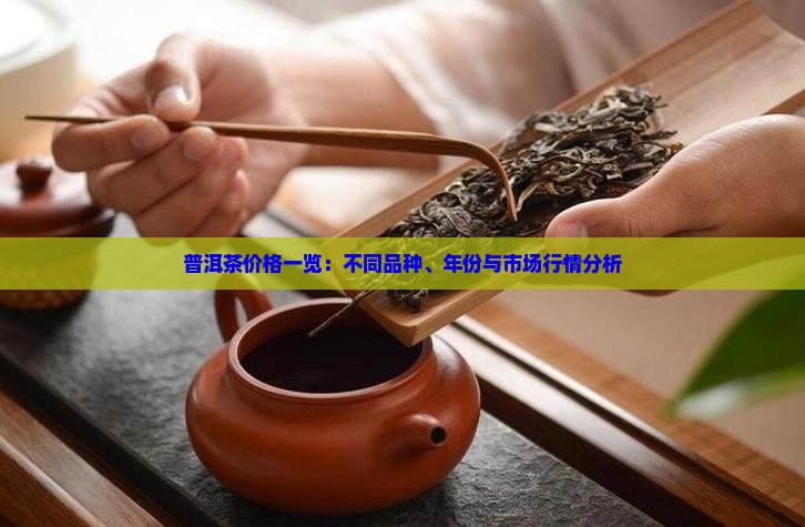 普洱茶价格一览：不同品种、年份与市场行情分析