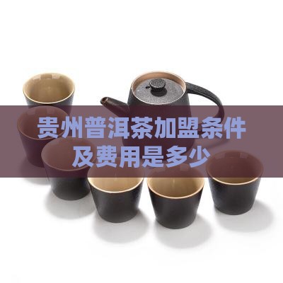 贵州普洱茶加盟条件及费用是多少