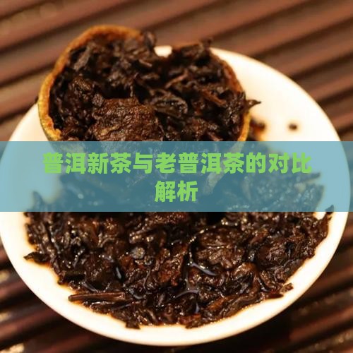 普洱新茶与老普洱茶的对比解析