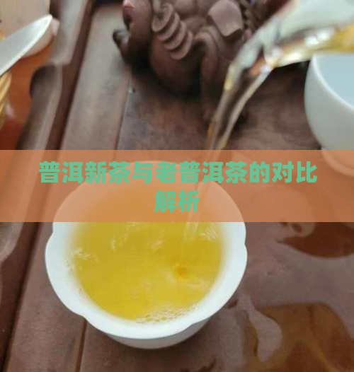 普洱新茶与老普洱茶的对比解析