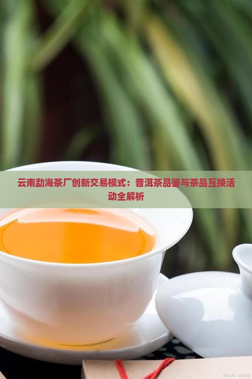 云南勐海茶厂创新交易模式：普洱茶品鉴与茶品互换活动全解析
