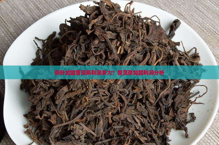 茶叶加盟普洱茶利润多大？普洱茶加盟利润分析