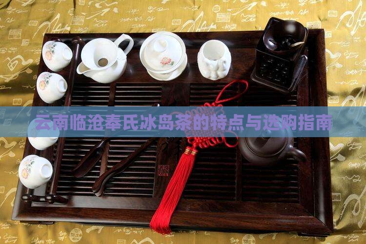 云南临沧奉氏冰岛茶的特点与选购指南