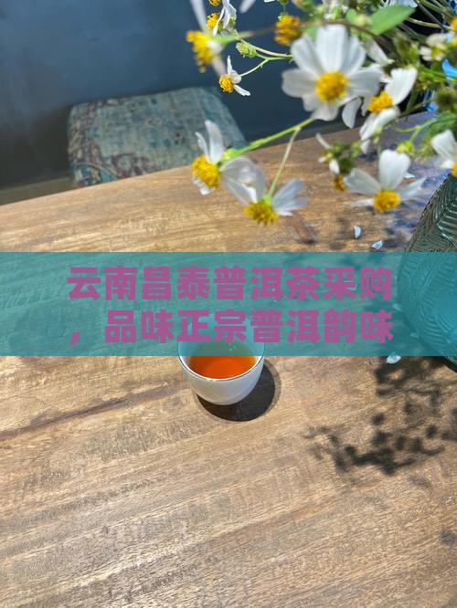 云南昌泰普洱茶采购，品味正宗普洱韵味