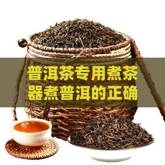普洱茶专用煮茶器煮普洱的正确方法