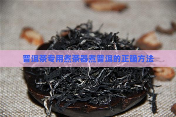 普洱茶专用煮茶器煮普洱的正确方法