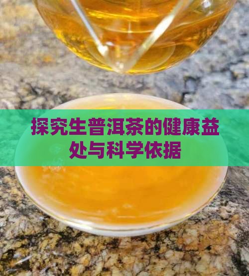 探究生普洱茶的健康益处与科学依据