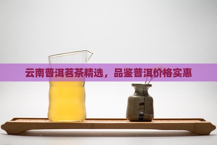 云南普洱茗茶精选，品鉴普洱价格实惠