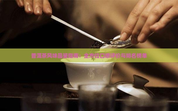 普洱茶风味品鉴指南：全方位口感评价与排名榜单