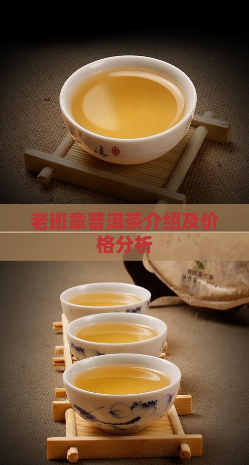 老班章普洱茶介绍及价格分析