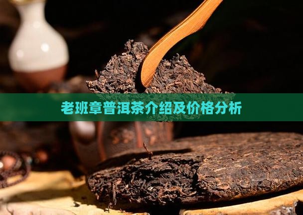 老班章普洱茶介绍及价格分析
