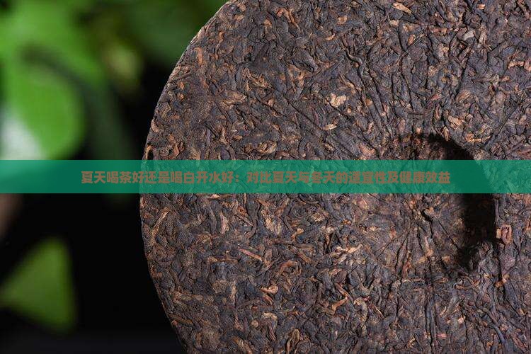 夏天喝茶好还是喝白开水好：对比夏天与冬天的适宜性及健康效益