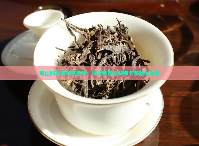 那山那水普洱茶生茶：探寻哪座山头那卡茶最优品鉴