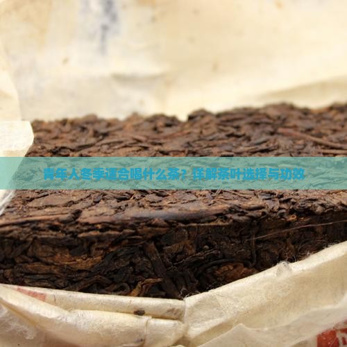 青年人冬季适合喝什么茶?详解茶叶选择与功效 青年人冬季适合喝什么茶?详解茶叶选择与功效