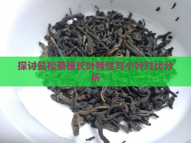 探讨曼松茶梗长叶特性与小叶对比分析 探讨曼松茶梗长叶特性与小叶对比分析