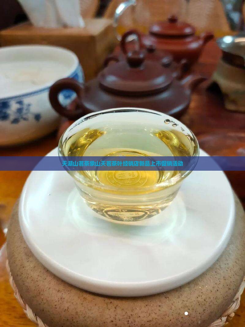 天湖山茗茶象山天茗茶叶经销店新品上市促销活动