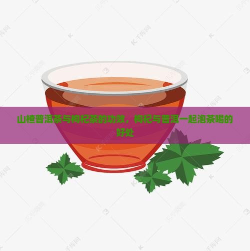 山楂普洱茶与枸杞茶的功效，枸杞与普洱一起泡茶喝的好处