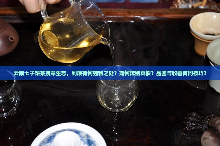 云南七子饼茶班章生态