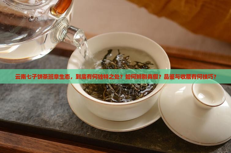 云南七子饼茶班章生态