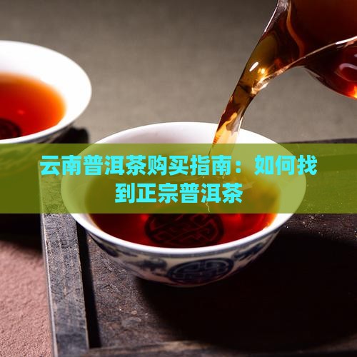 云南普洱茶怎么找到