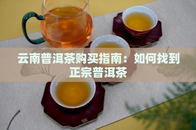 云南普洱茶怎么找到
