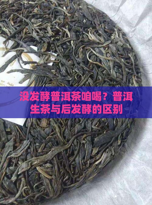 没发酵普洱茶咱喝