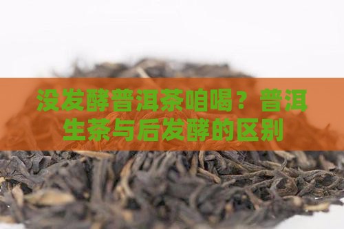 没发酵普洱茶咱喝