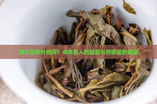 魏先生茶叶如何