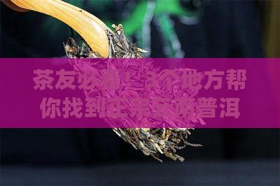 在哪里可以找到云南普洱茶