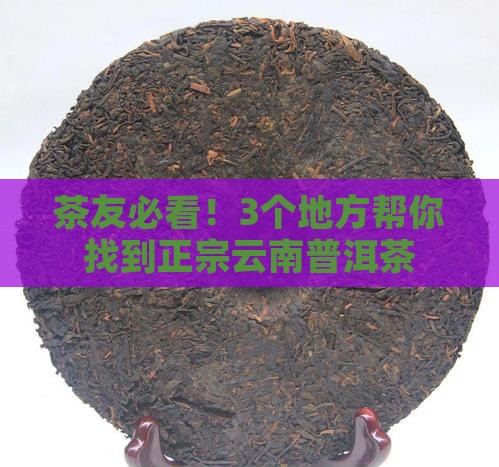 在哪里可以找到云南普洱茶