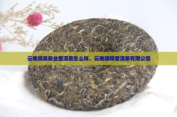 云南顺真茶业普洱茶