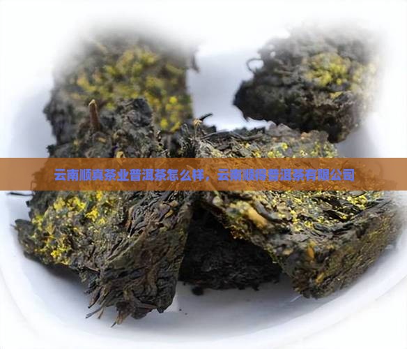 云南顺真茶业普洱茶