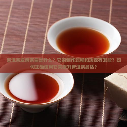 普洱茶发酵茶曲