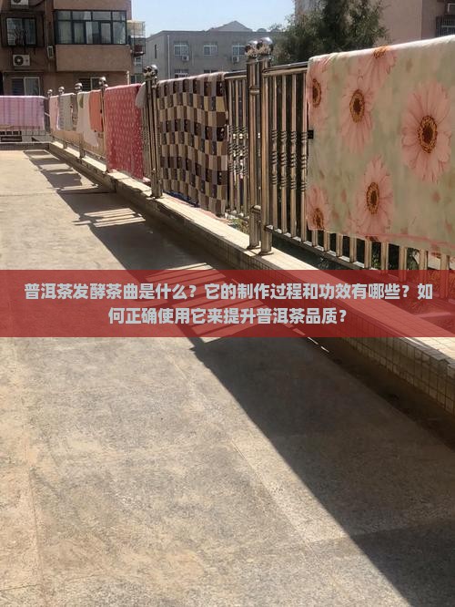 普洱茶发酵茶曲