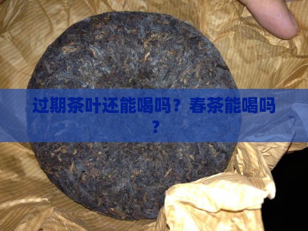 春茶过期了还能喝吗