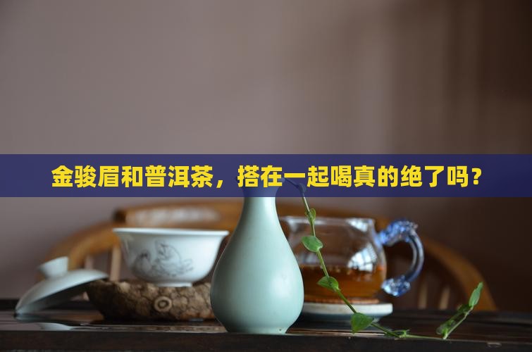 金骏眉普洱茶咋样