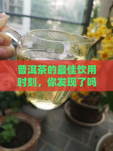 普洱茶适合什么时候饮用