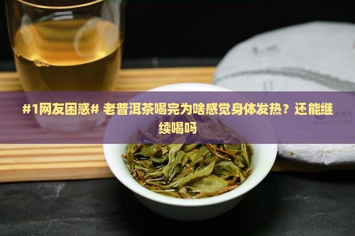 老普洱茶是热性还是凉性