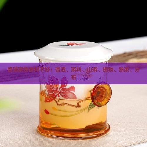 普洱茶熟茶好不好