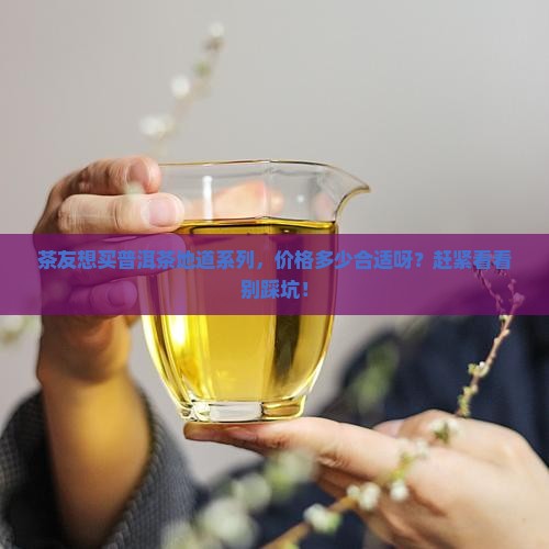 普洱茶地道系列价格多少