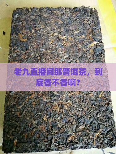 老九直播间卖的普洱茶怎么样