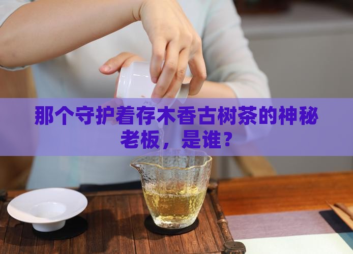 存木香古树茶老板