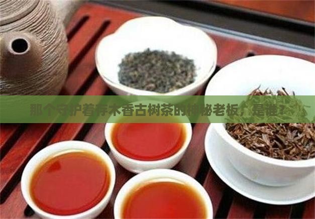 存木香古树茶老板